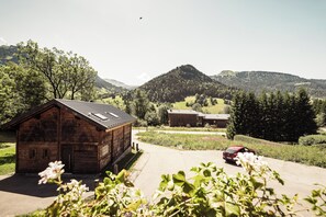 Ulkoalueet