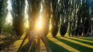 A wooden swing set in a park with a sunlit background.