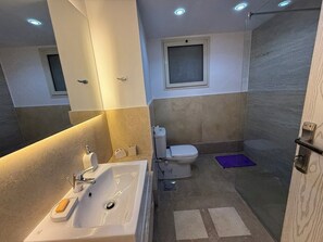 Shower, hair dryer, bidet, towels