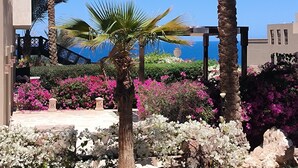 Un jardín ajardinado con palmeras, plantas con flores y vistas al mar.