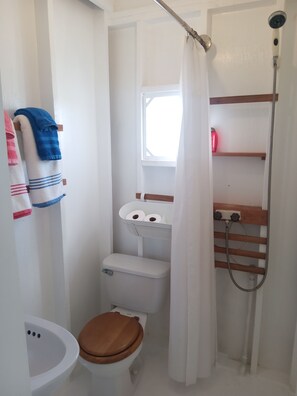 Shower, towels, soap, toilet paper