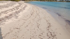 A sandy beach with scattered seaweed and a clear blue sky. - Cocolobba Cottage by the Sea in Whale Point (Upper Bogue)