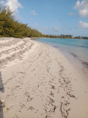 Cocolobba Cottage by the Sea in Whale Point