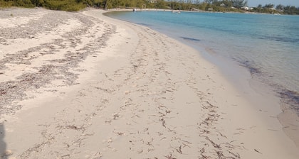 Cocolobba Cottage by the Sea in Whale Point