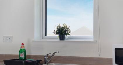 New 2BR in Pensbury Street