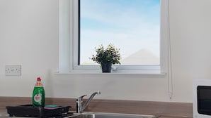 Eine Küche mit Fenster, Spüle, Geschirrgestell, einer Flasche Fairy Spülmittel und einem Blumentopf.