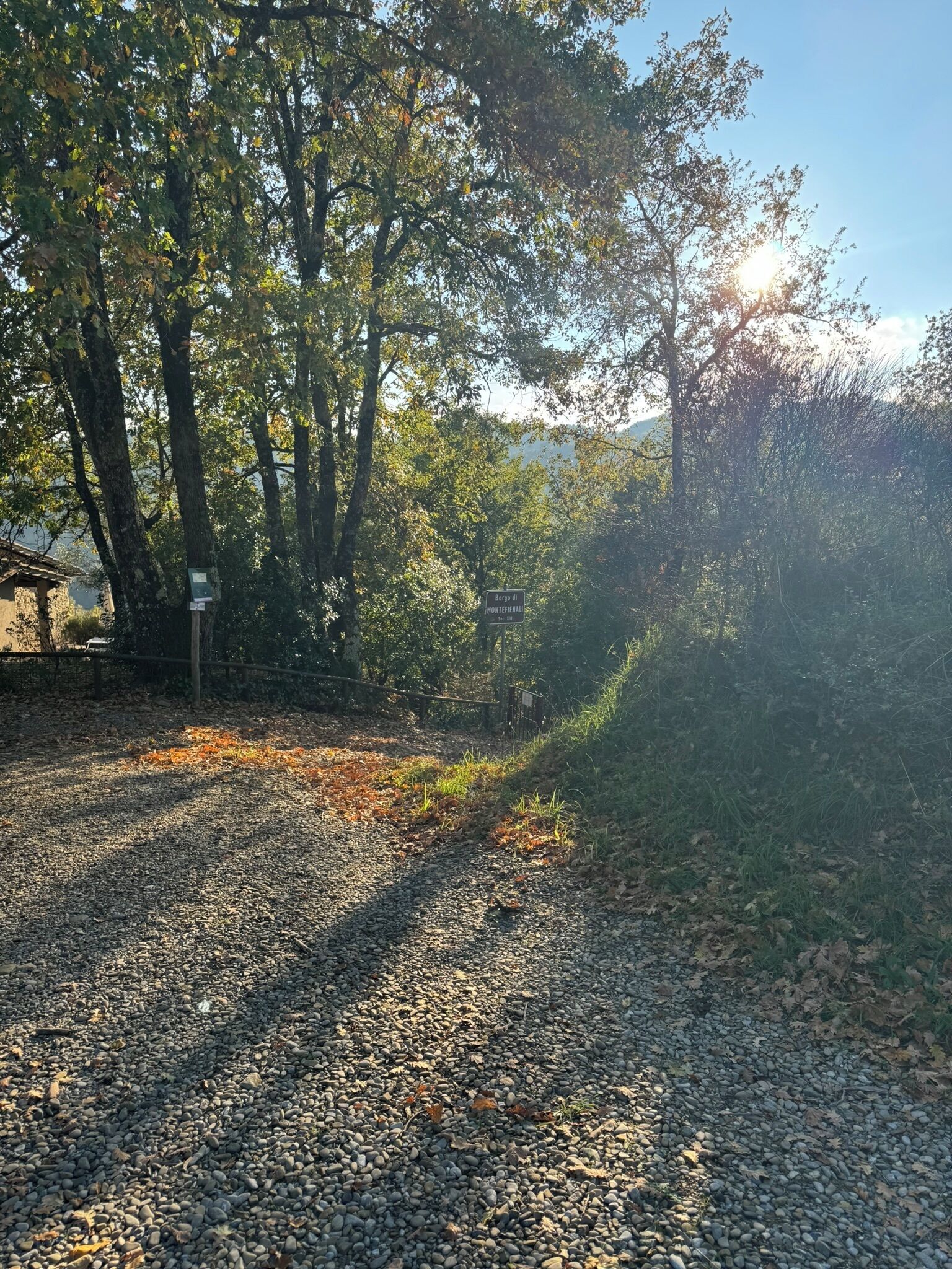 A gravel path leading through a wooded area with a sign indicating 'Borgo di Monteceneri'.