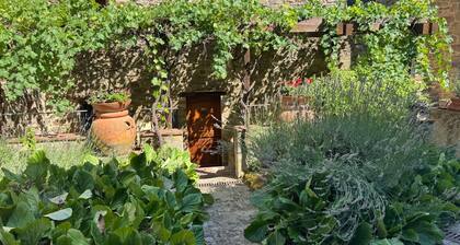 Montefienali La Loggia House Relaxation in a Medieval Chianti Village 3 Terraces