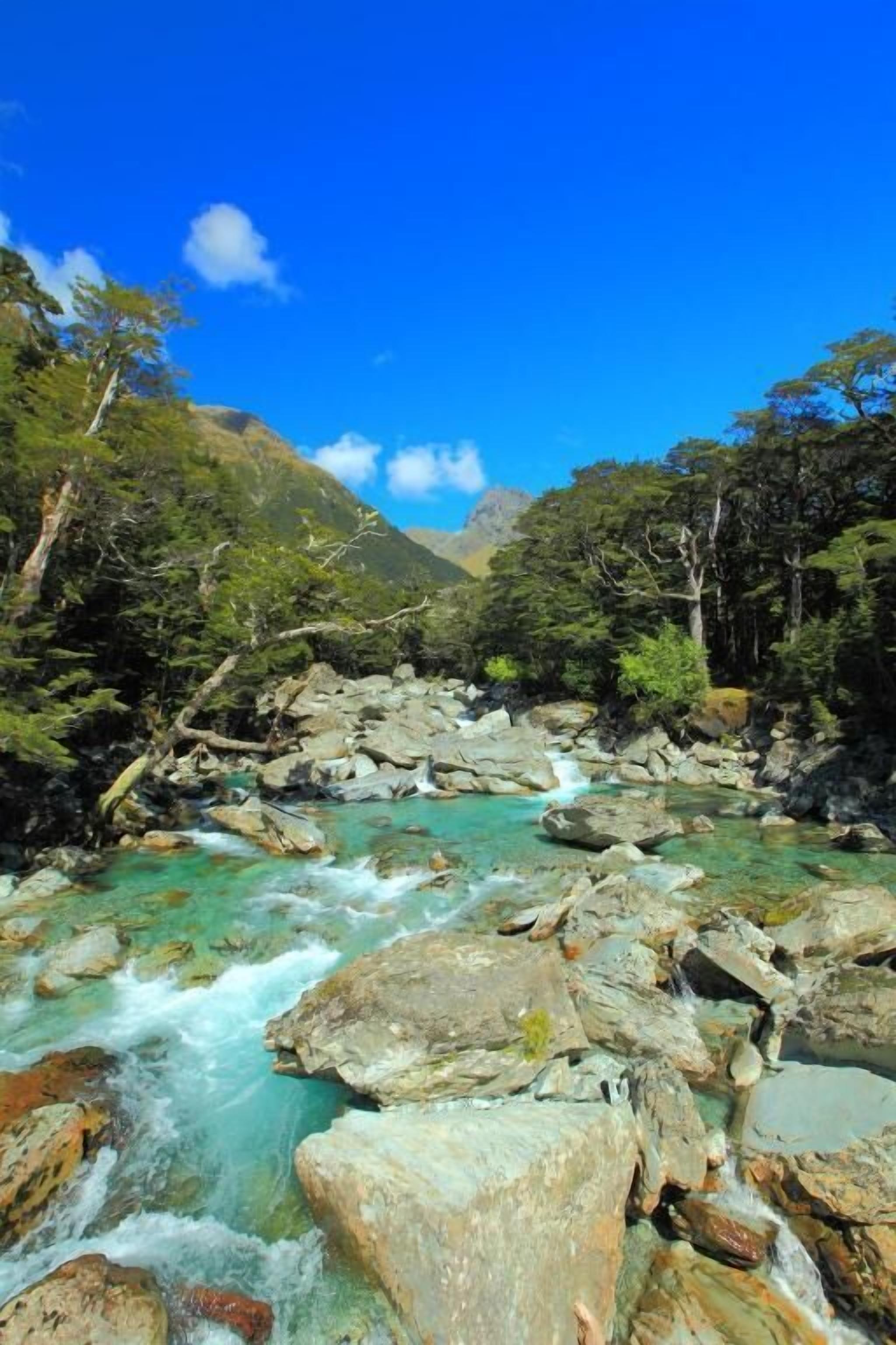 A river flowing through a rocky landscape with trees and mountains in the background.