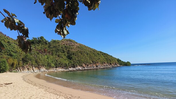 A sandy beach with footprints, a clear blue sky, and a forested hillside. - SAKATIA ART (Nosy Be)