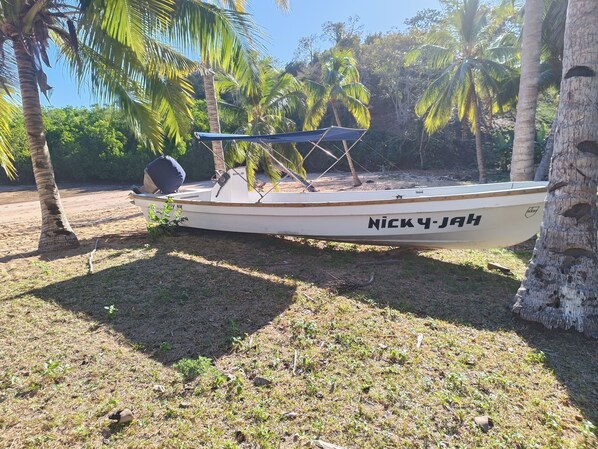 Un pequeño bote llamado "Nicky-Jah" estacionado en un área verde con palmeras al fondo.