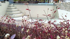 A modern building with a stone staircase leading to a pool area, surrounded by lush greenery and red-leafed plants. - SAKATIA ART (Nosy Be)