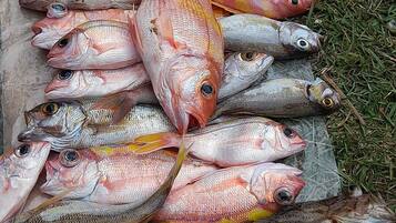 A collection of fish laid out on a surface.
