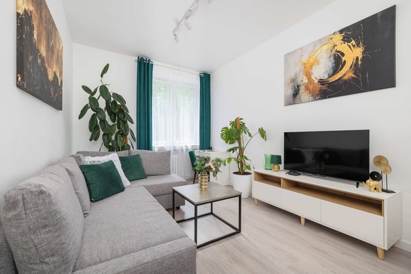 A stylish living room with a comfortable sofa, large TV and potted plants creates the perfect space to unwind after a long day.