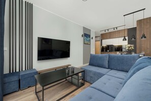 Fernseher, Arbeitsbereiche