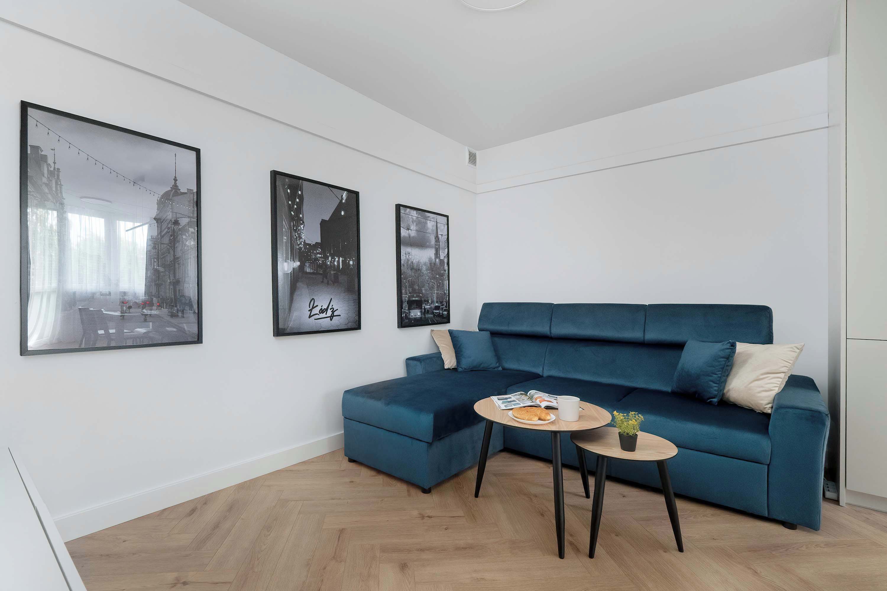 Relax in the stylish living room with a comfortable sofa and modern decor.