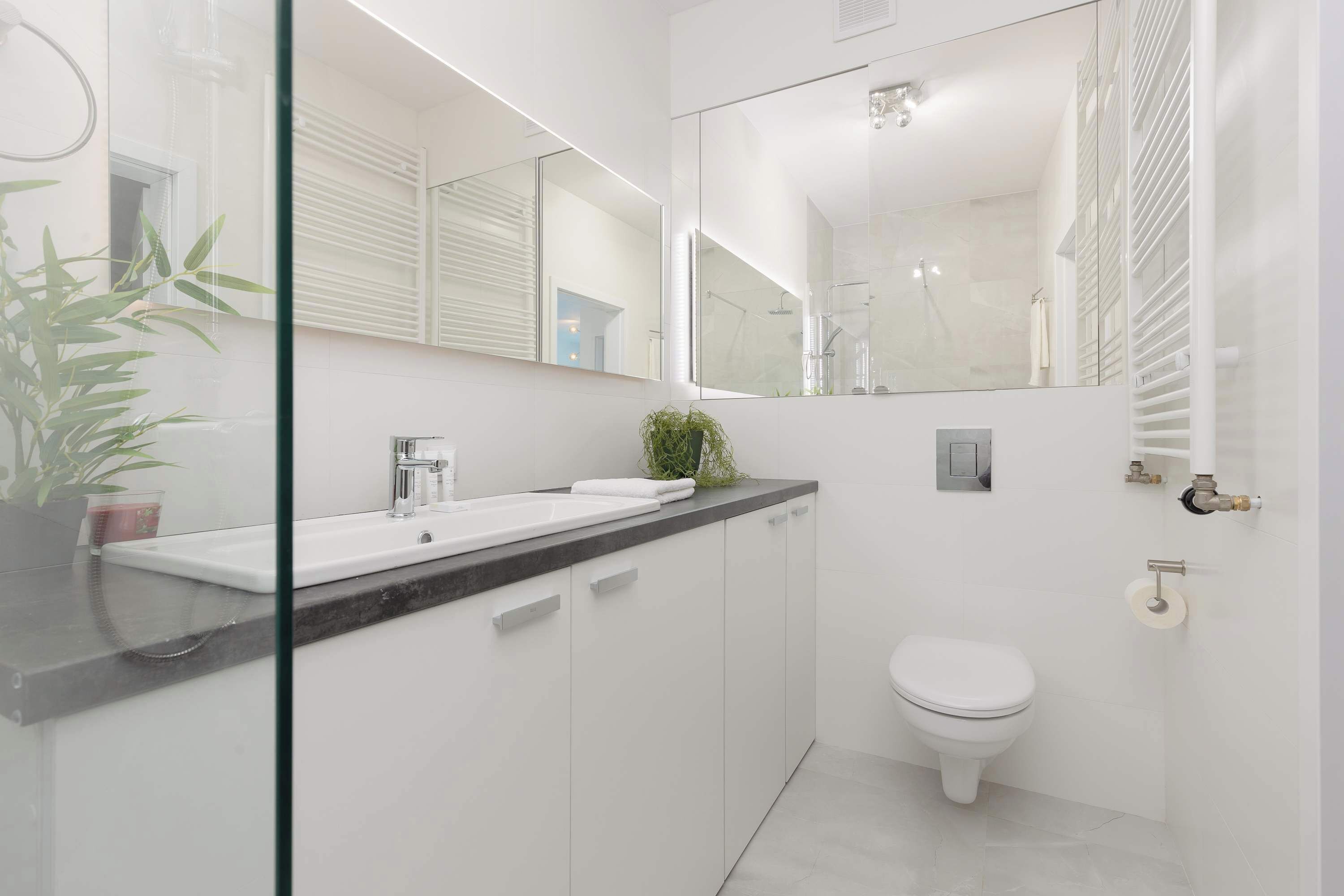 A modern bathroom with a glass shower enclosure, a white sink, and a toilet.