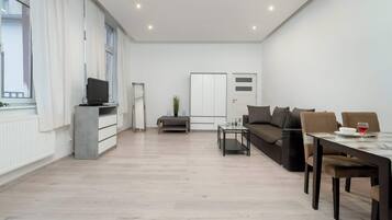 Fernseher, Arbeitsbereiche