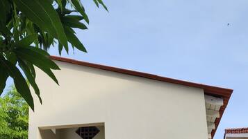 Detalle exterior