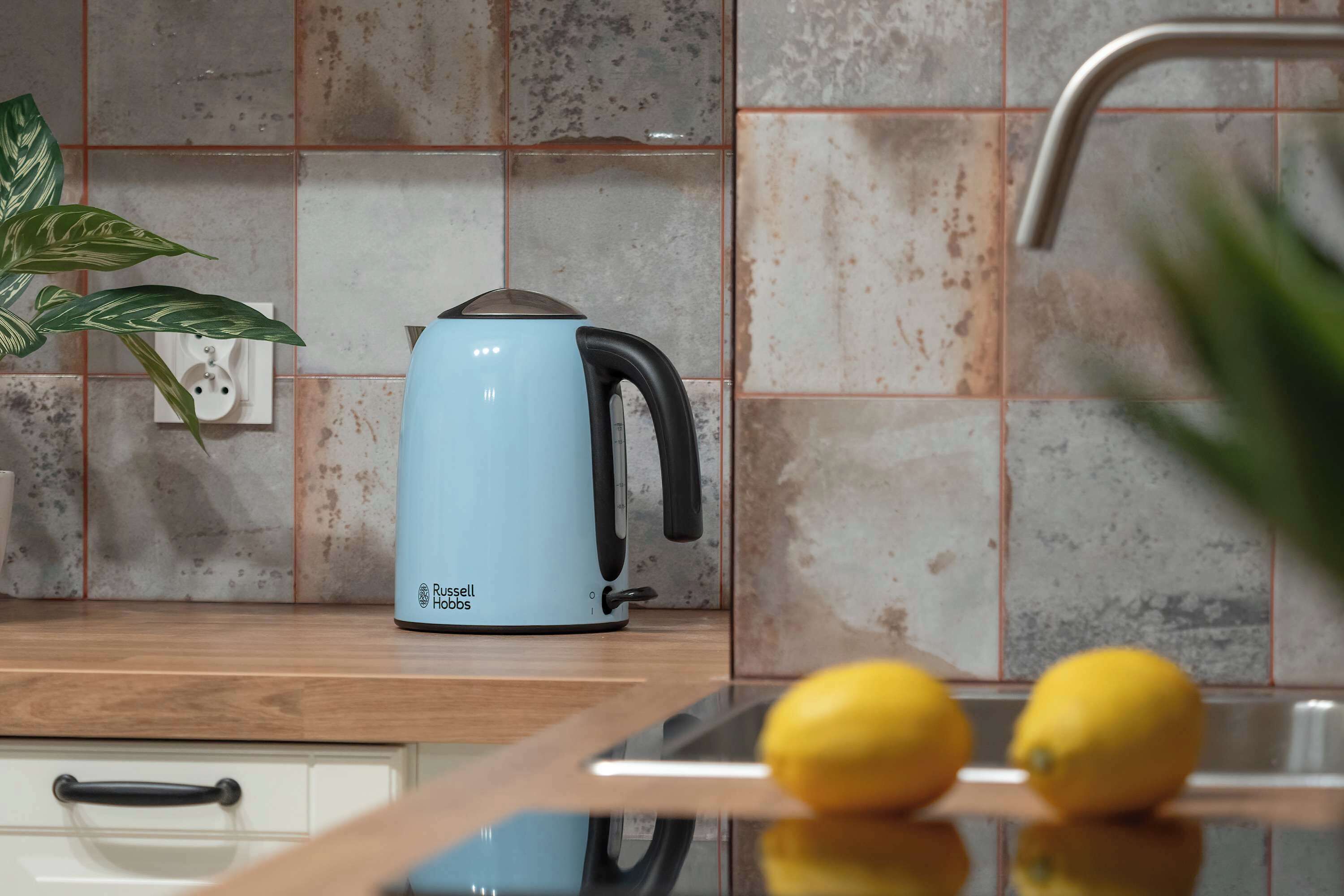 Una cocina con un hervidor, una planta en maceta y limones sobre la encimera.