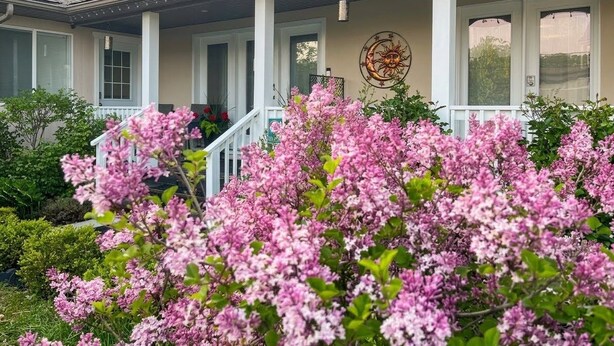 A house with a porch, a decorative sun/moon wall art, and blooming pink flowers. - Ravenwood (Niagara-on-the-Lake)