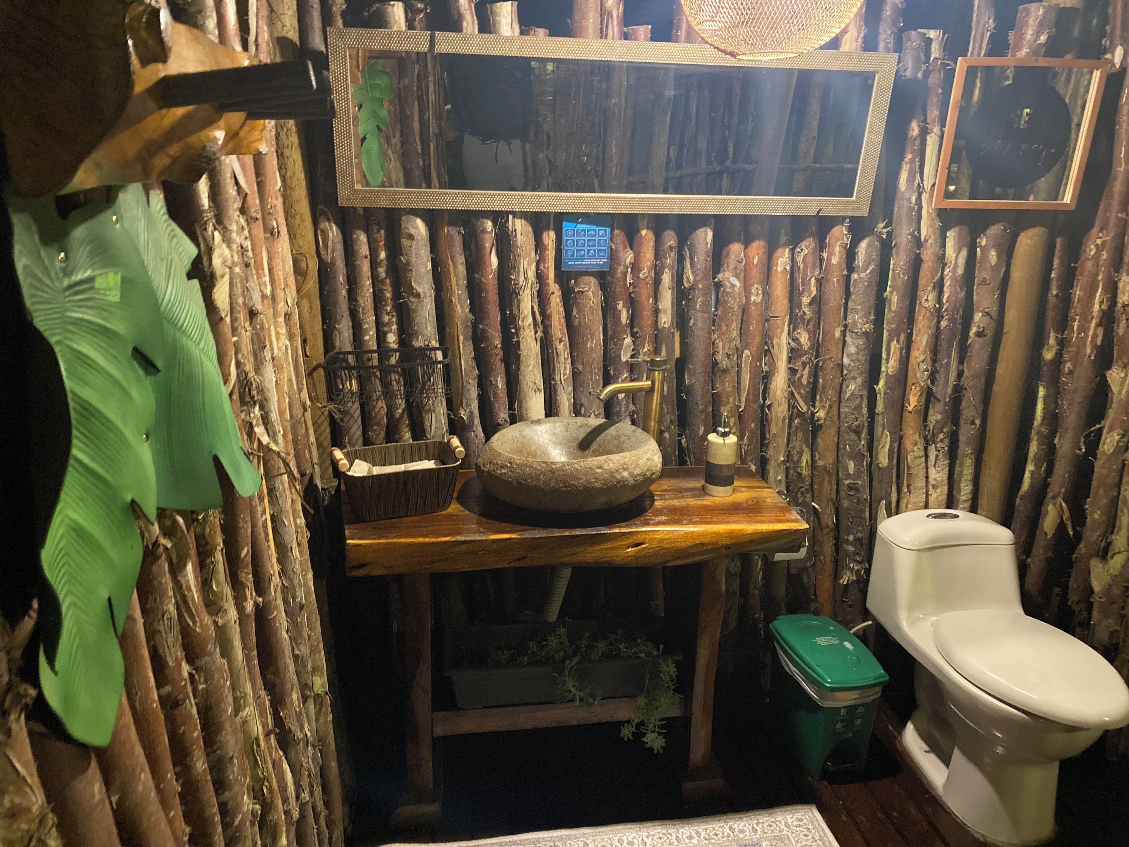 Shower, towels, toilet paper