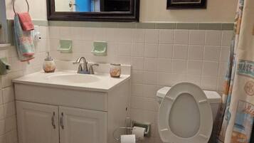 MANATEE APARTMENT | Bathroom | Hair dryer, towels, soap, shampoo