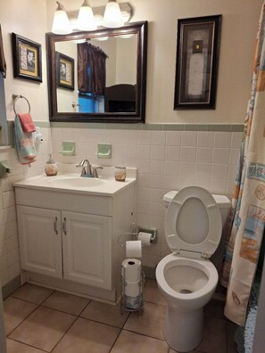 A bathroom with a toilet, sink, and mirror. There are towels hanging on the wall, a soap dispenser, and a toilet paper holder. - Three Sisters Cottages (Crystal River)