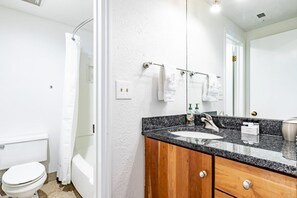 Hair dryer, towels, soap, toilet paper