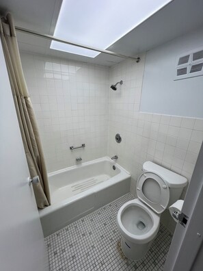 A bathroom with a bathtub, toilet, and a skylight.