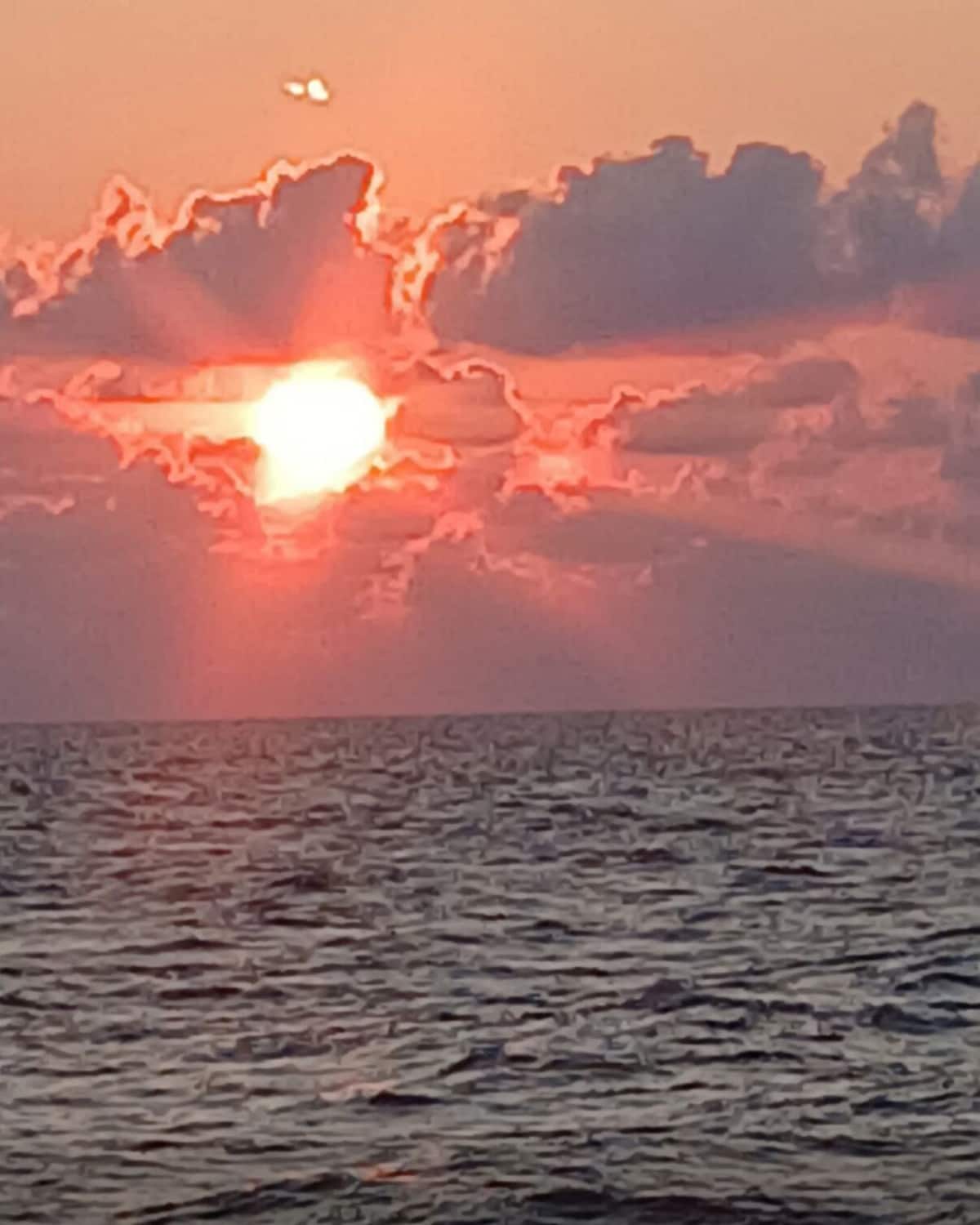 Foto de perfil del anfitrión