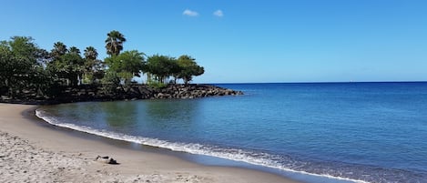 Plage à proximité
