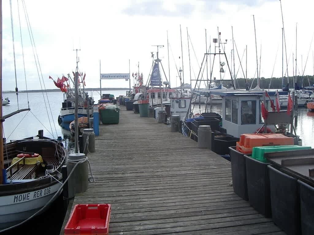 Eine hölzerne Pier mit an einem Jachthafen vertäuten Booten.