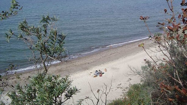 A beach with a clear view of the ocean and a group of people sitting on the sand. - Ferienhaus Nemo Wohnung 6 "Dorie" (Rerik)