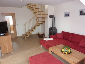 TV, fireplace, books