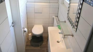 Shower, hair dryer