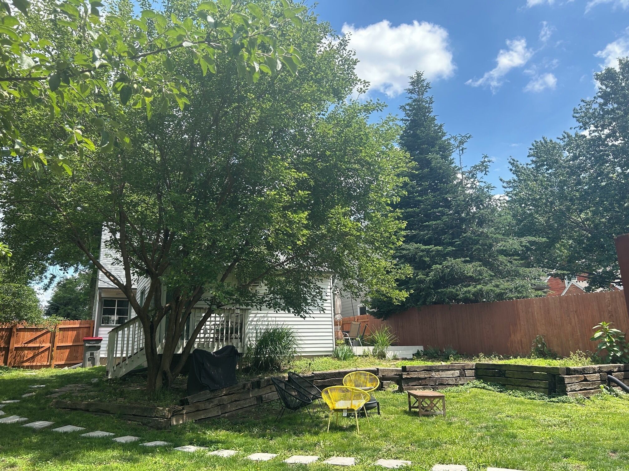 A backyard with a tree, a wooden fence, and a house.