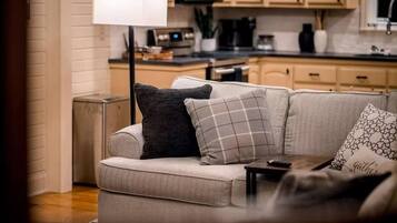 TV, fireplace, books