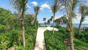 A pathway leading to a beach with palm trees and lush greenery. - Nido De Tortuga 2 Min Beach Access Private Jacuzzi (Akumal)
