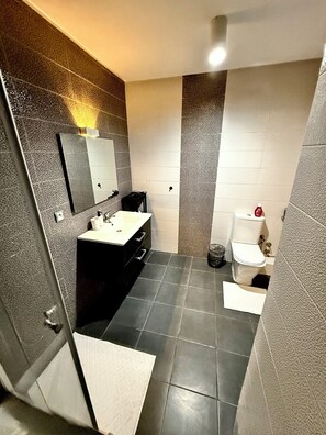 Douche, sèche-cheveux, serviettes fournies, savon