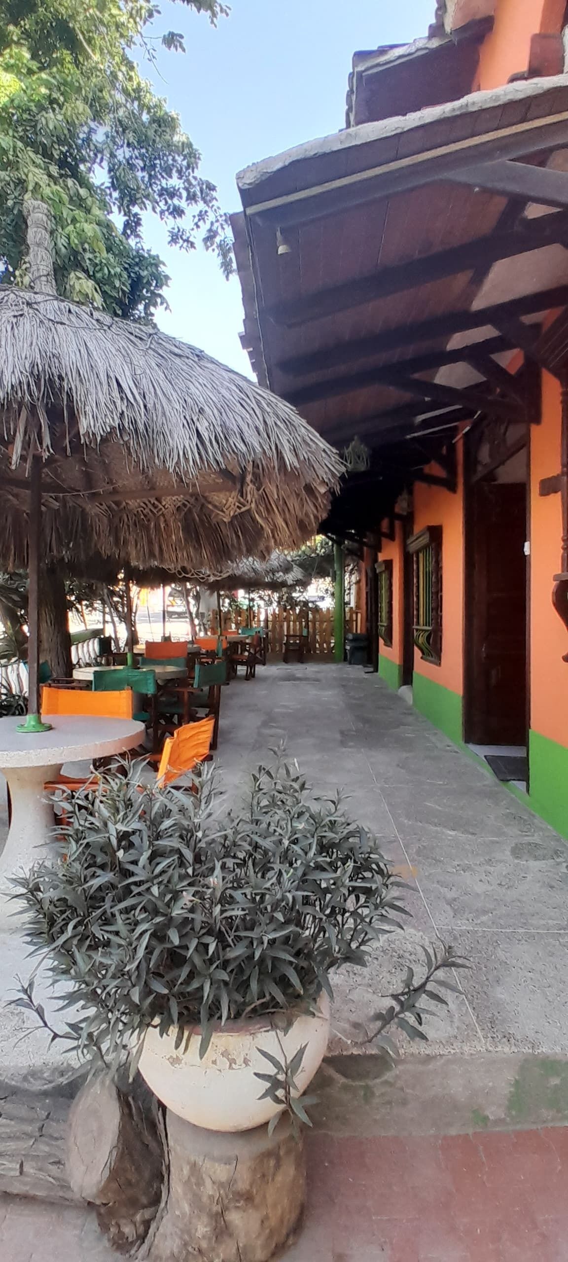 An outdoor seating area with tables and chairs, a thatched roof, and potted plants.