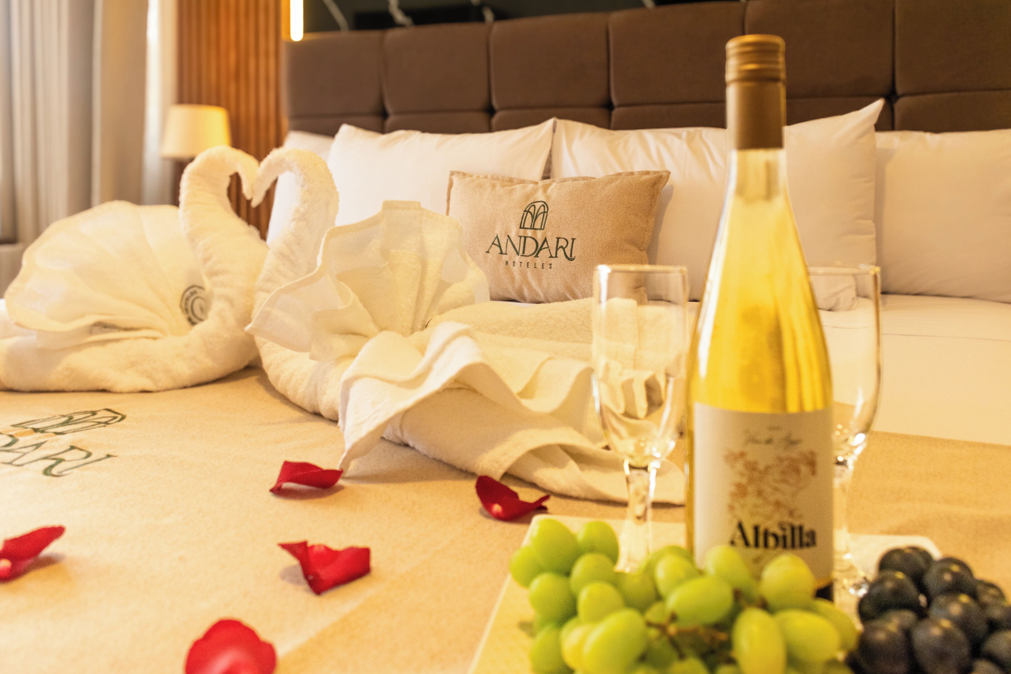 Photo - Andari Hoteles