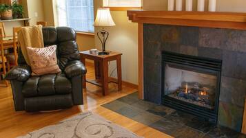 Smart TV, chimenea y reproductor de DVD