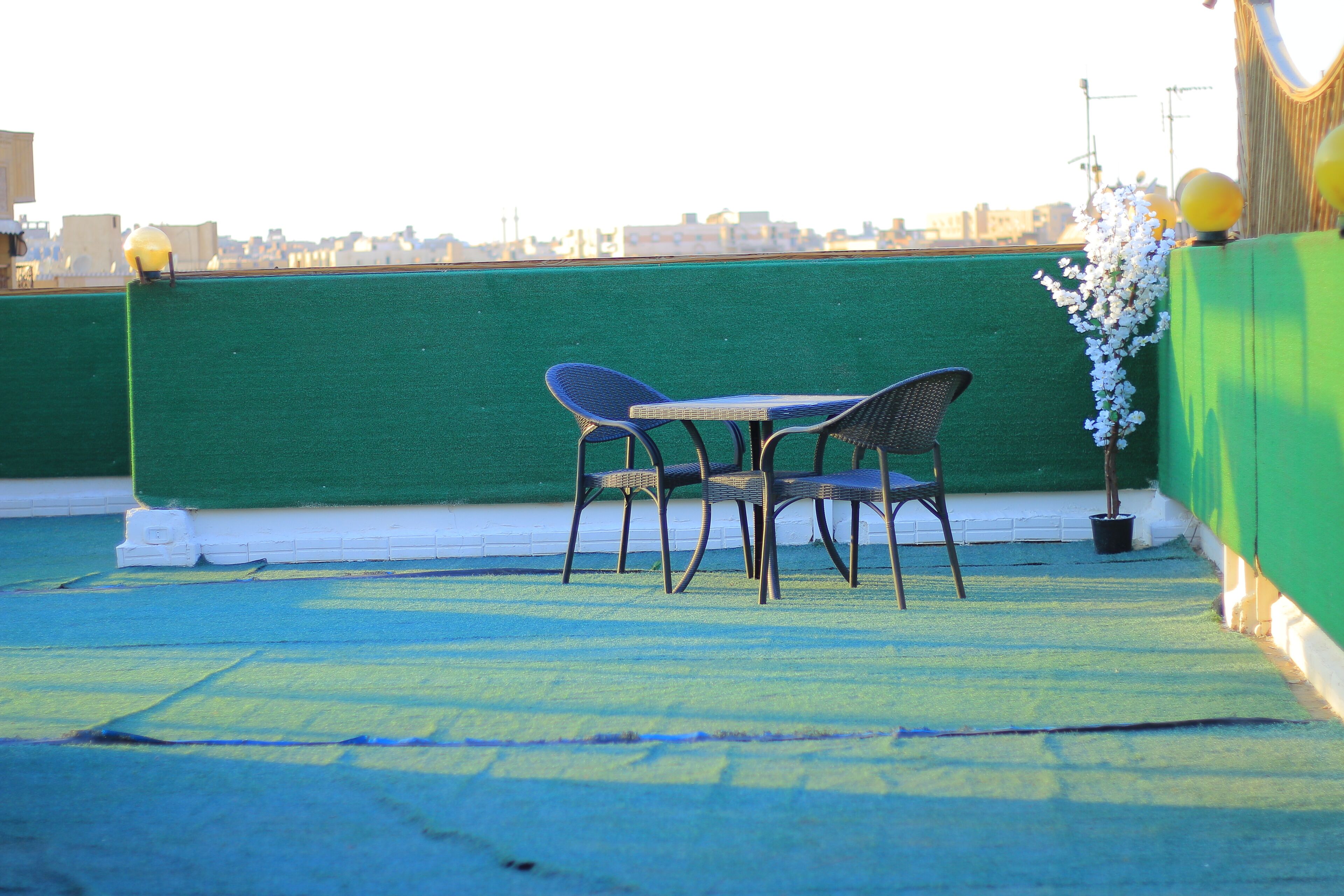 Basic Single Room | Terrace/patio