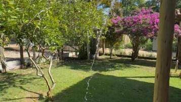 Standaard tweepersoonskamer | Terras