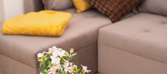 Yellow Haven | Spacious 3 Bd 3 Bath | Free Parking