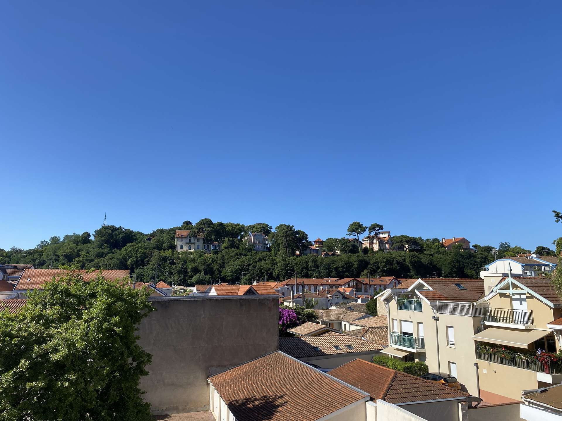Un quartier résidentiel avec des maisons construites sur une colline, un ciel bleu dégagé et un arbre au premier plan.