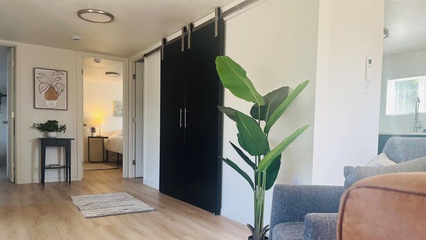 A modern living room with a large sliding door, a potted plant, a blue sofa, and a wooden floor.