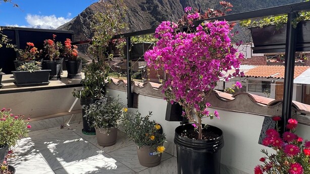 Un jardin sur le toit, agrémenté de plantes et de fleurs en pot, un ciel d’un bleu limpide et une montagne en arrière-plan.