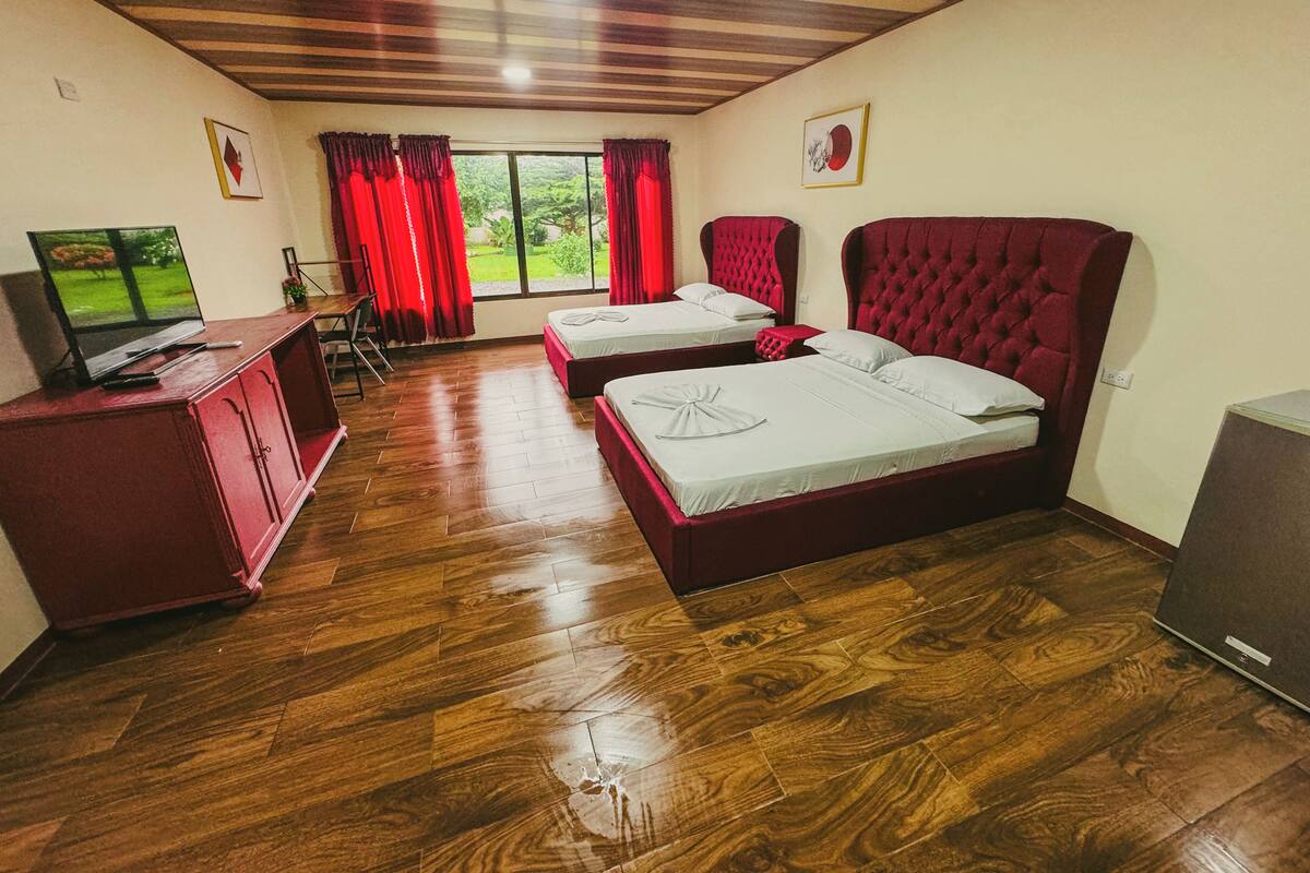 A room with two beds, a TV, and a desk.